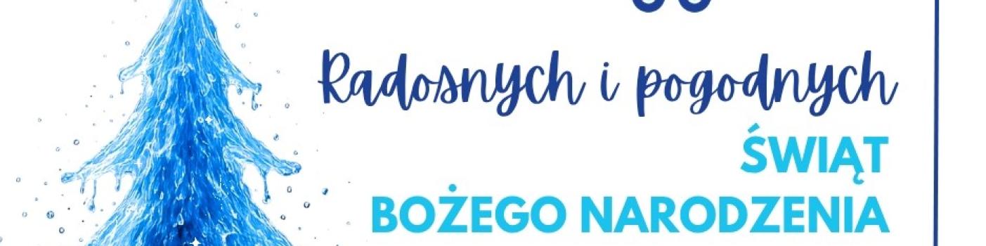 Na białym tle duża niebieska, ociekająca kropelkami wody, choinka. Obok niej życzenia świąteczne, ponad nimi logo firmy. Pod życzeniami rysunek uśmiechniętych postaci - kropelka wody, planeta ziemia i sedesik idą w stronę choinki, trzymając się za ręce. 